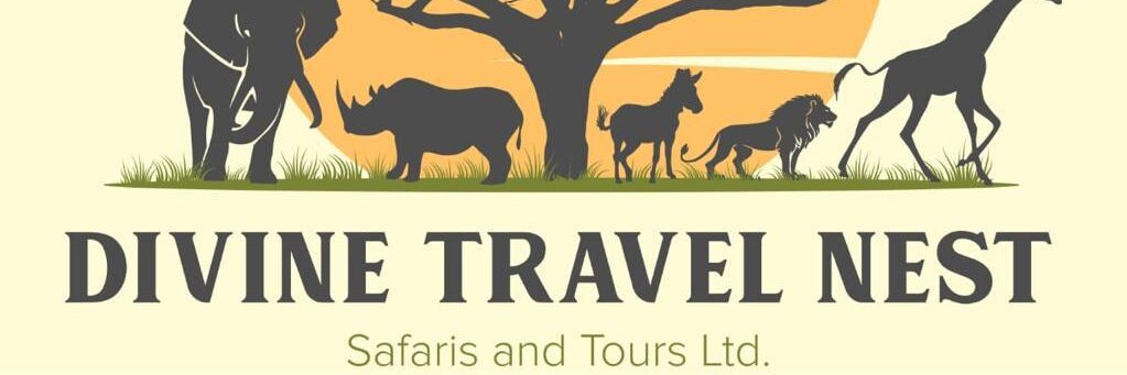 DIVINE NEST TRAVEL SAFARIS