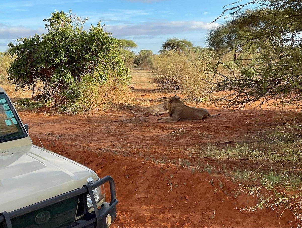 Kenya safari regions