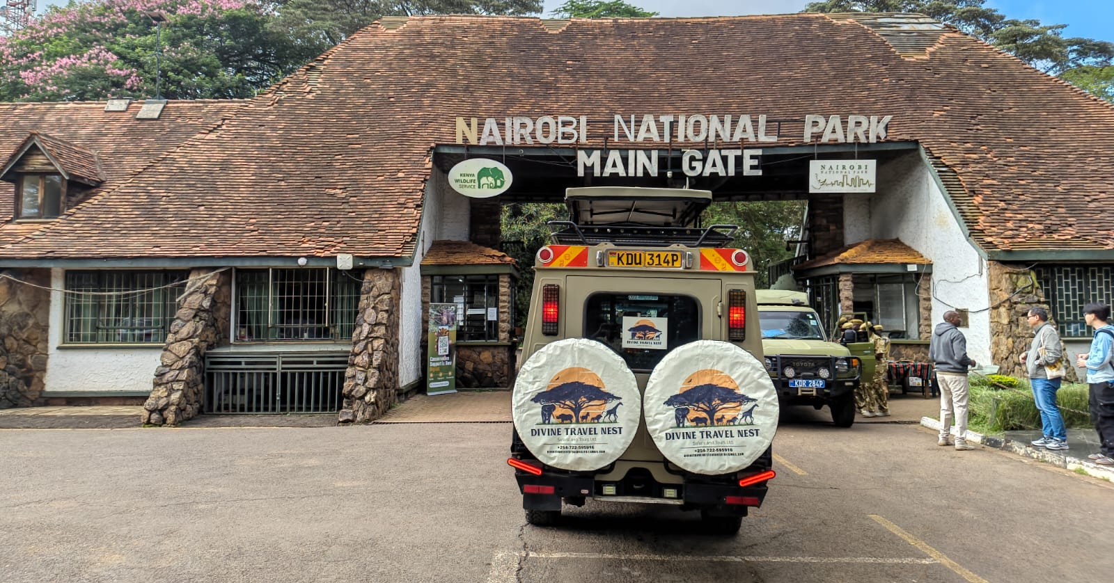 A morning game drive squeezed neatly between two flights